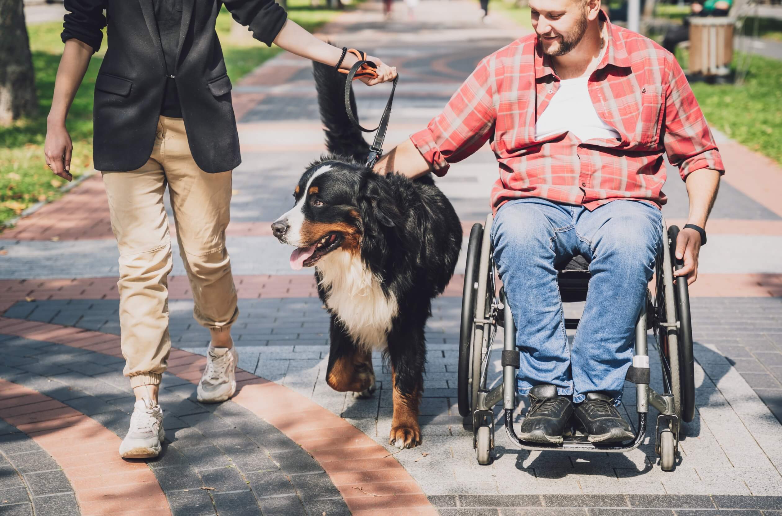 disabled veteran with his dog