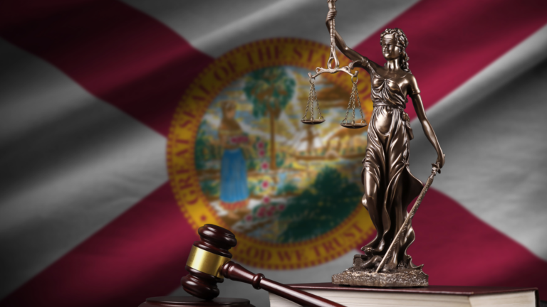 New Florida laws that go into effect July 1, 2024